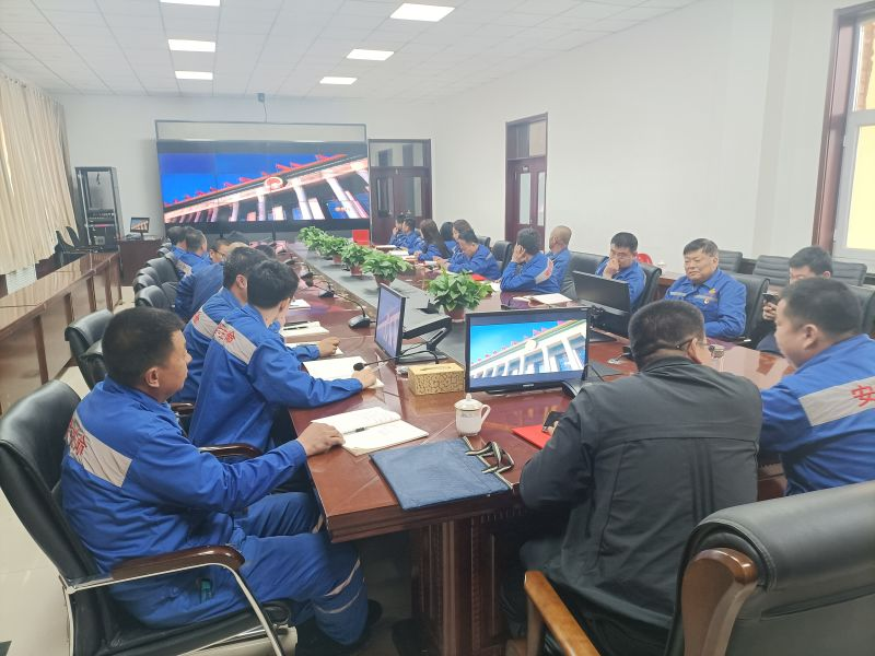 大中矿业党委关于开展“党史学习教育”动员大会